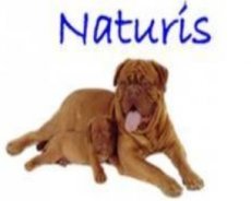 Naturis